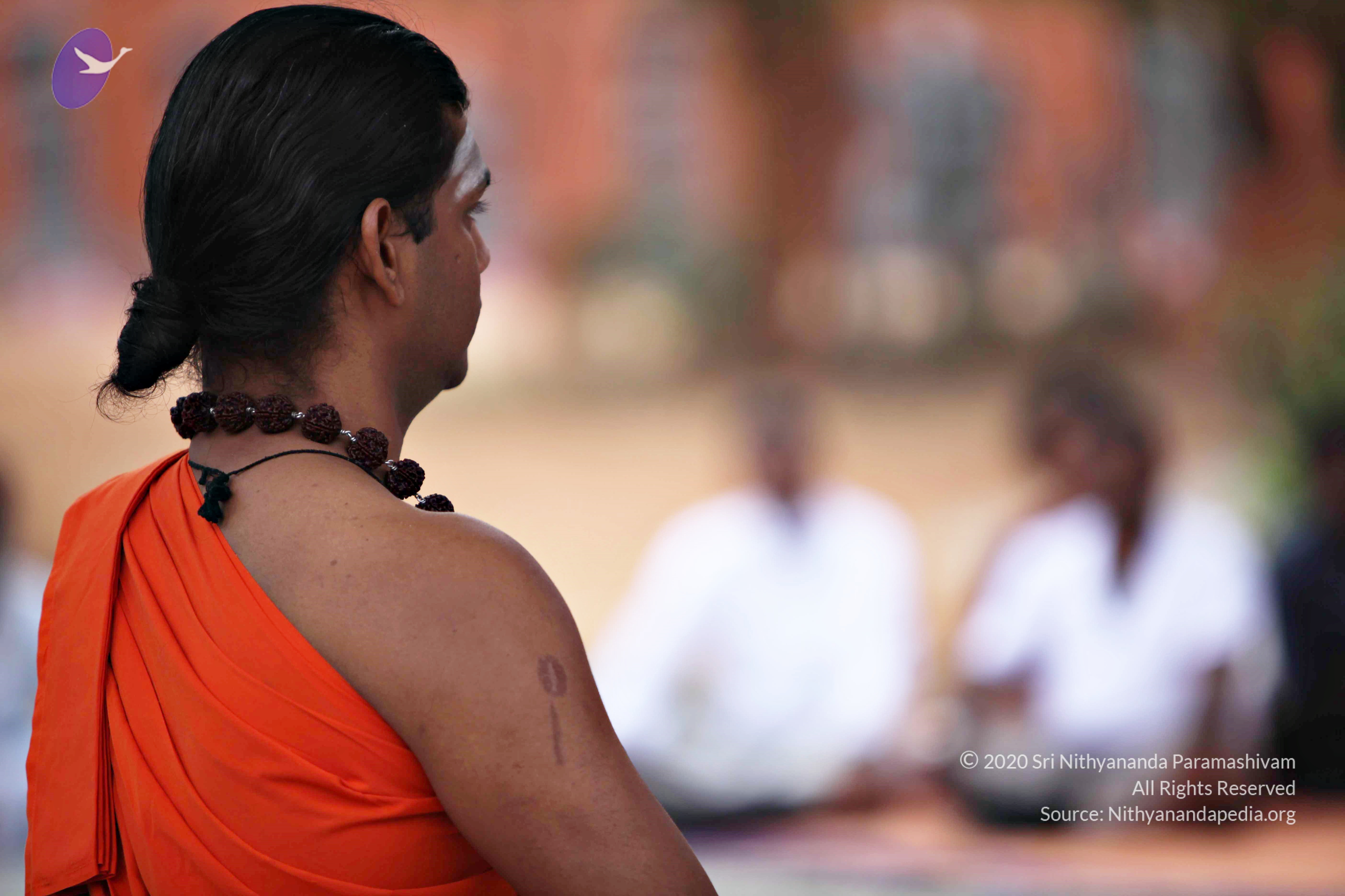 20110225_Photo_1065_IMG_0833_CMP_WM